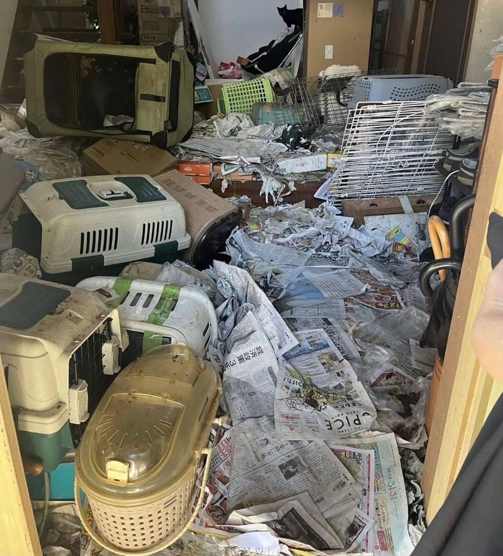 Around 150 dead cats were discovered in the squalid home of a woman who belonged to an animal welfare group in southwest Japan. Photo: Instagram/Animal Assist Senju