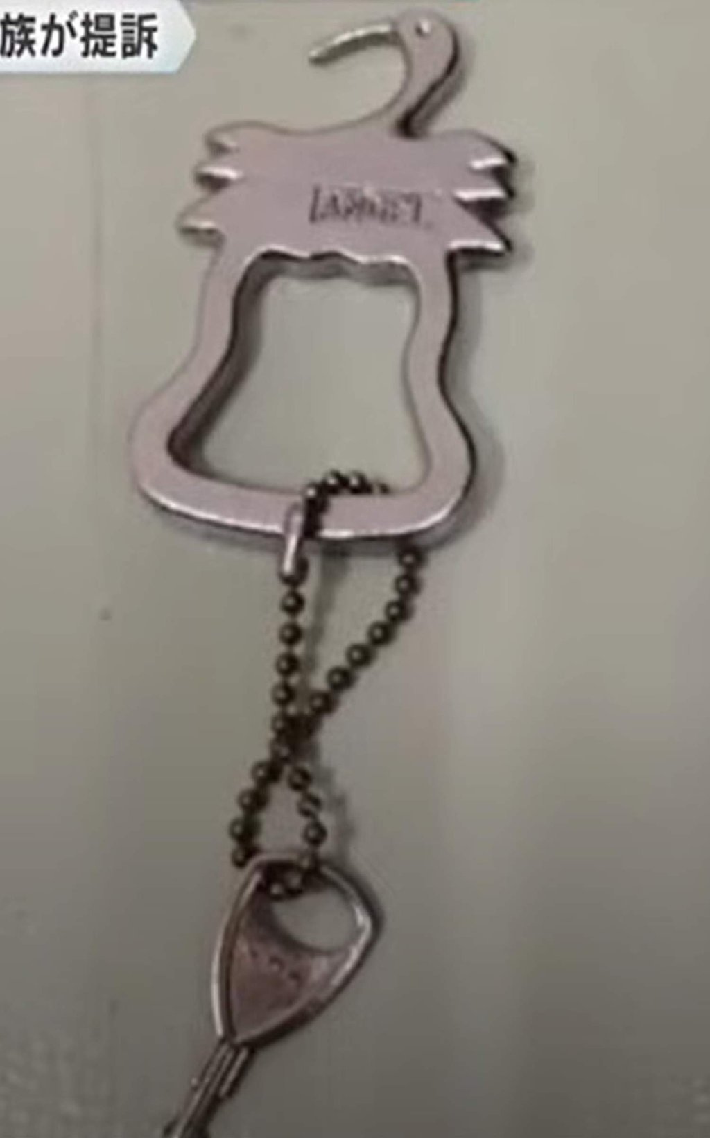 The metal key was on a goose-shaped chain with sharp edges. Photo: Handout
