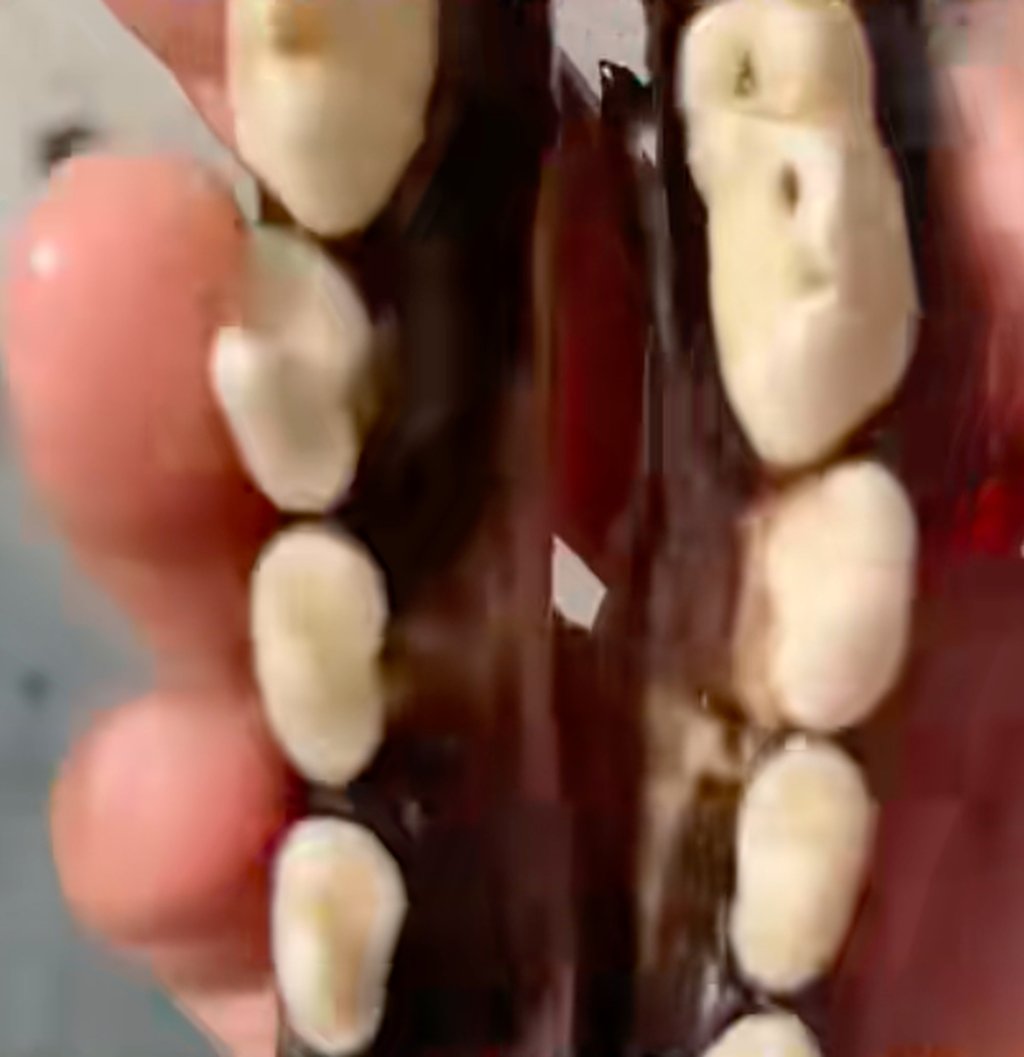 Once extracted, the animals’ teeth are sold to people who believe they prevent misfortune. Photo: handout