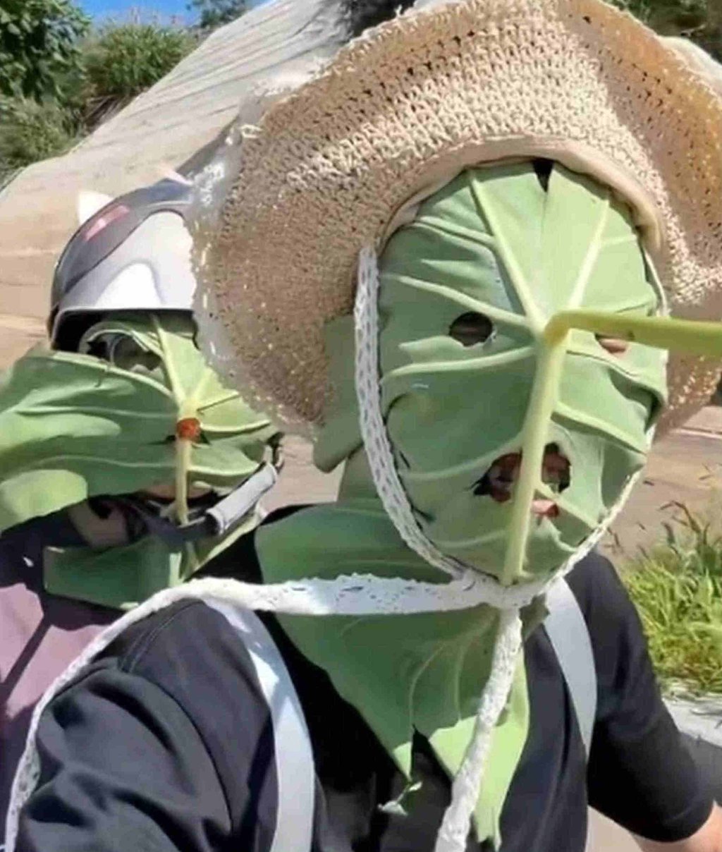 Scary sun-protectors: The giant lotus leaves are kept in place with hats and helmets. Photo: QQ.com