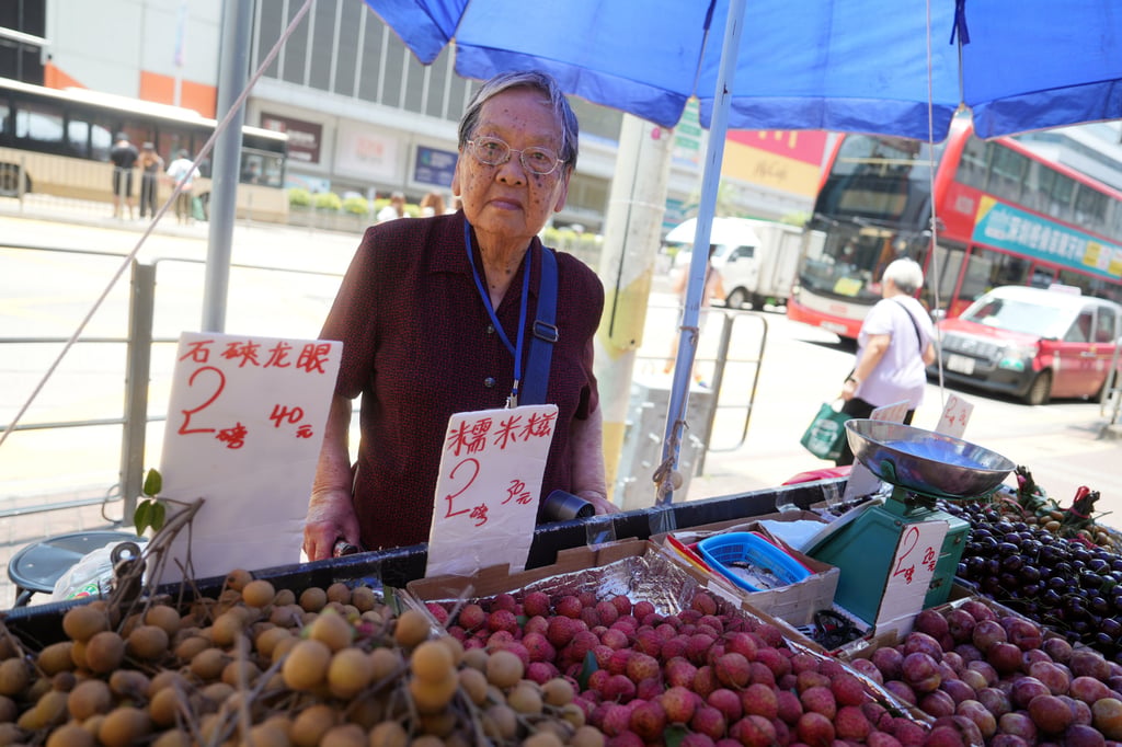 Hawker licence holder Chan Tak-ching tends to her stall at Lai Chi Kok. Photo: Sun Yeung