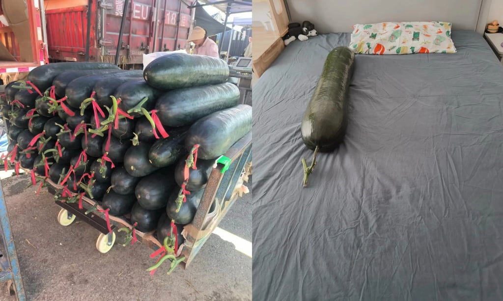 A resident from northern China’s Tianjin municipality is reported to be one of the first to popularise this effective cooling technique that sparked the trend. Photo: RedNote