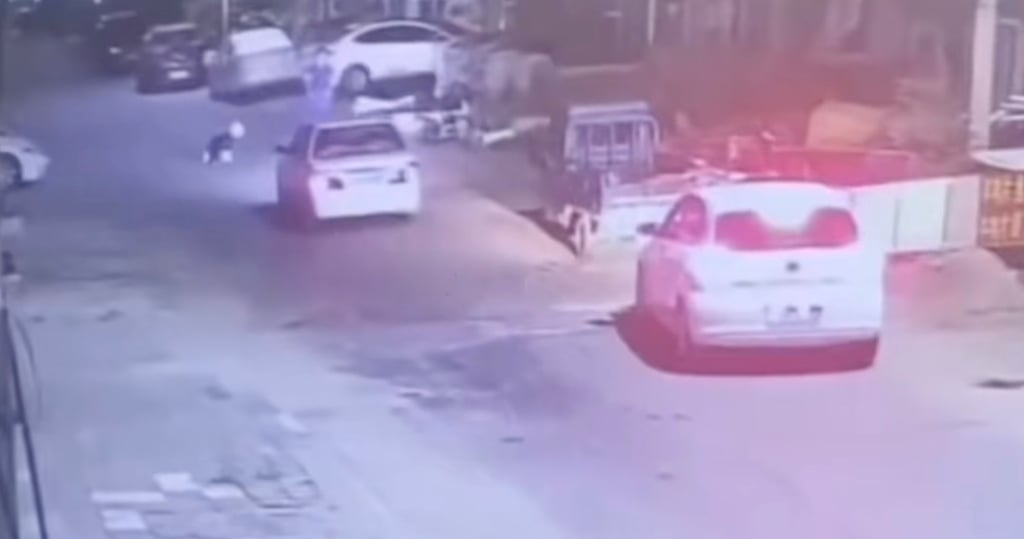 Surveillance footage from a street camera shows a car speeding towards the border collie. Photo: Weibo