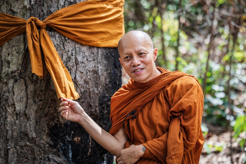 Venerable Dhamma Caro says a tree becomes a “saint-tree” after being wrapped with a saffron robe. Photo: Kim Jung-yeop