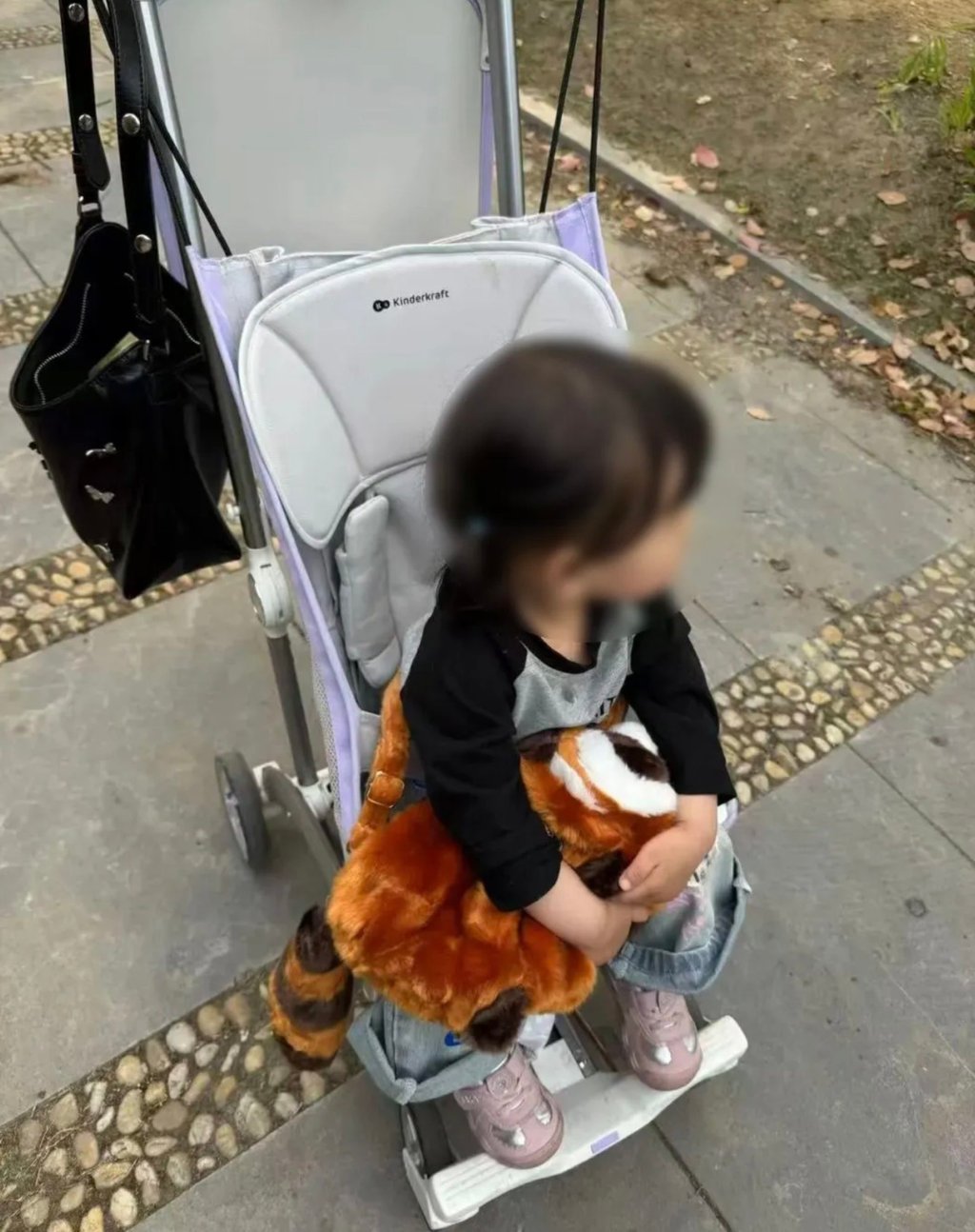 Two-year-old Xiaoran was a regular visitor to Nantong Forest Safari Park, making five trips within just two months. Photo: Douyin