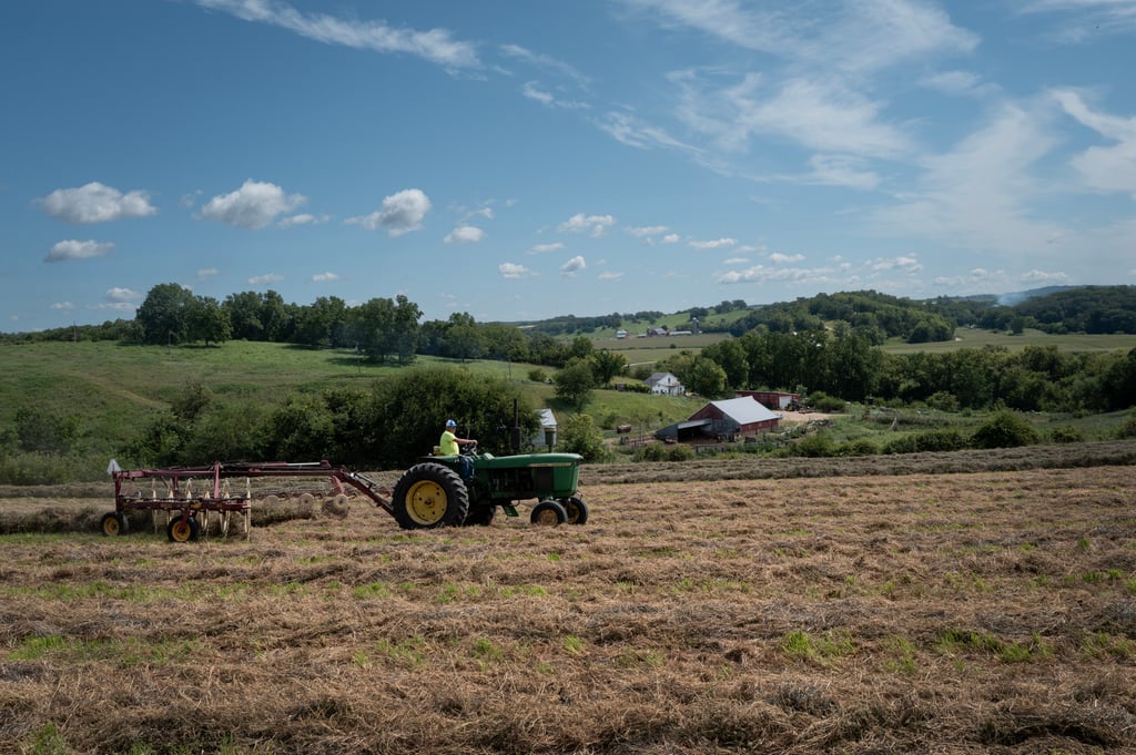 China has yet to purchase any US soybeans this season, diverting orders instead to Brazil and Argentina. Photo: Getty Images