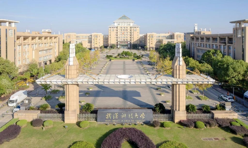 Wuhan University of Science and Technology in Hubei province, central China, is known for its strengths in materials science, metallurgy and mechanical engineering. Photo: Handout