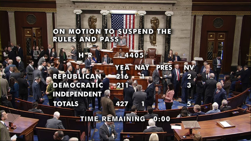 An image from House Television shows the final vote in the US House to pass a bill to force the Justice Department to publicly release its files on the convicted sex offender Jeffrey Epstein on Tuesday. Image: House Television via AP