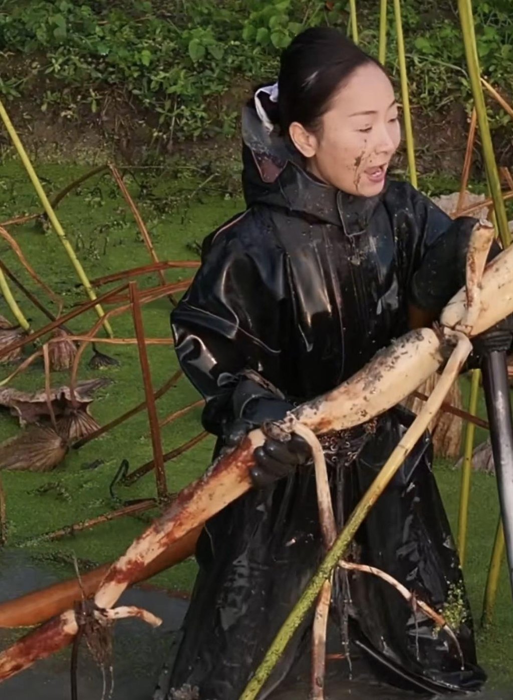 Businesswoman Hu Qin gets down to some hard physical labour in a lotus pond. Photo: Baidu