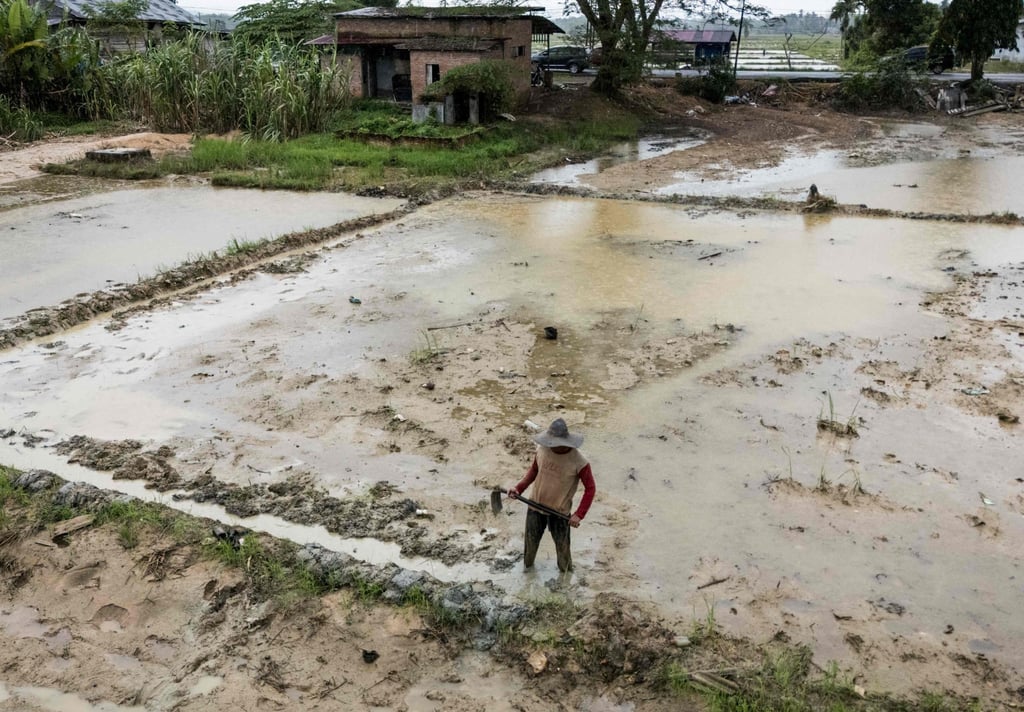 A farmer repairs his rice field in Langsa, northern Sumatra, on Tuesday after it was damaged by flash floods. Photo: AFP