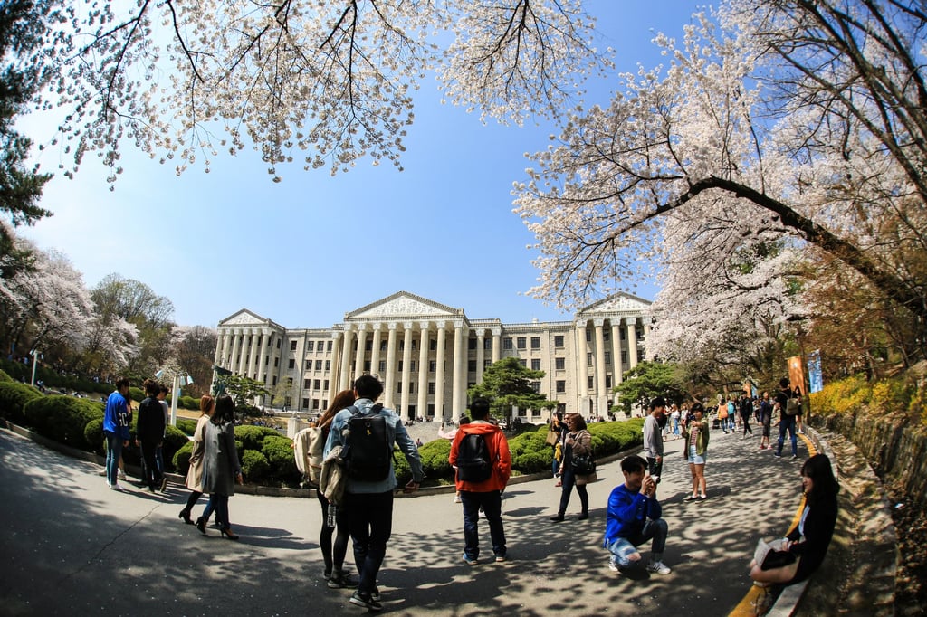 Students walk and take photographs among the cherry blossom trees at the Kyung Hee University campus in Seoul. Photo: Shutterstock