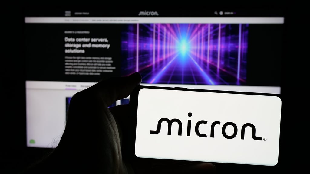 Micron Technology is the world’s third-largest manufacturer of memory chips. Photo: Shutterstock