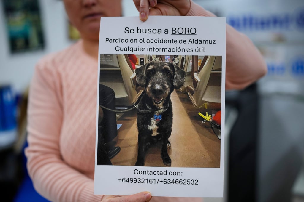 A woman holds a sign that says “Missing Boro. Lost during the Adamuz accident. Any information is helpful” in Spanish. Photo: AP
