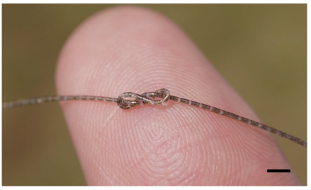 A fibre integrated circuit is a novel electronic device that is as thin as a strand of human hair. Photo: Handout