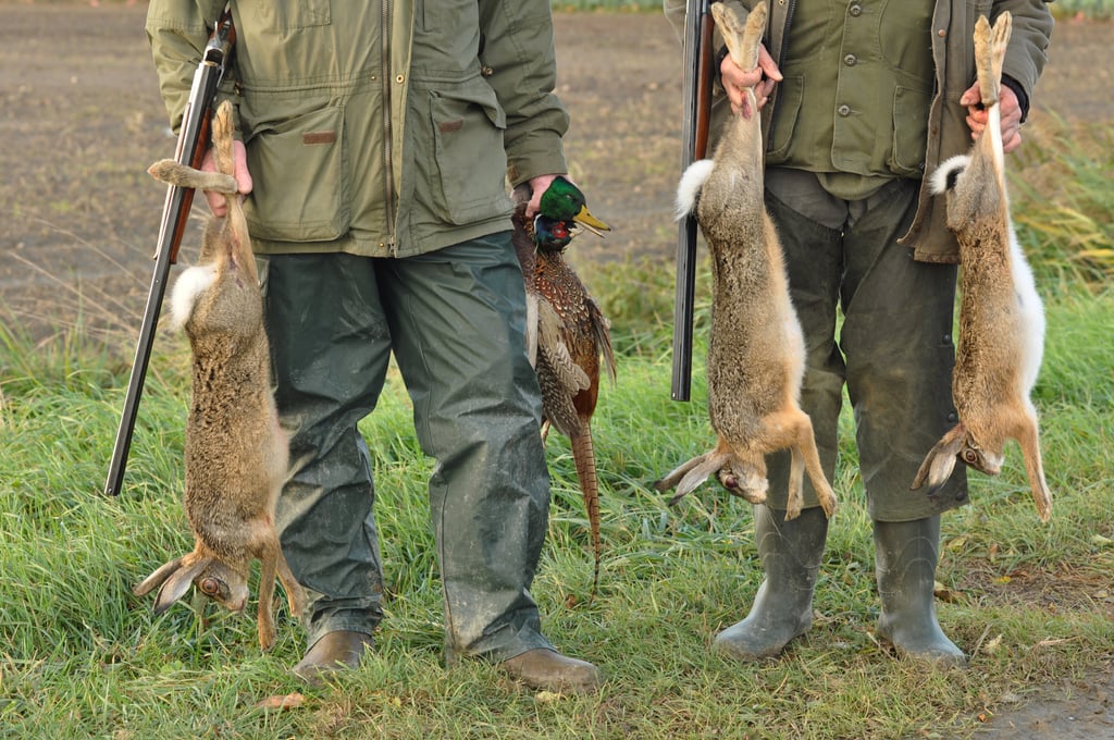 The name “hunter-style lover” is derived from hunting, but twists the meaning in a caring way. Photo: Shutterstock