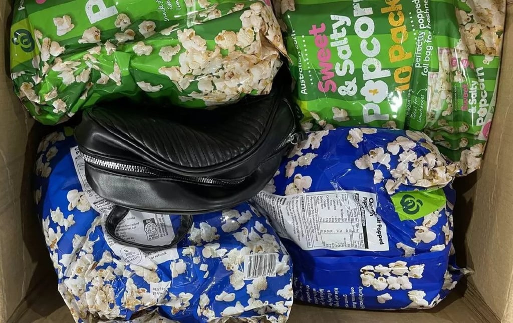 Popcorn bags and handbags containing the reptiles. Photo: Department of Climate Change, Energy, the Environment and Water