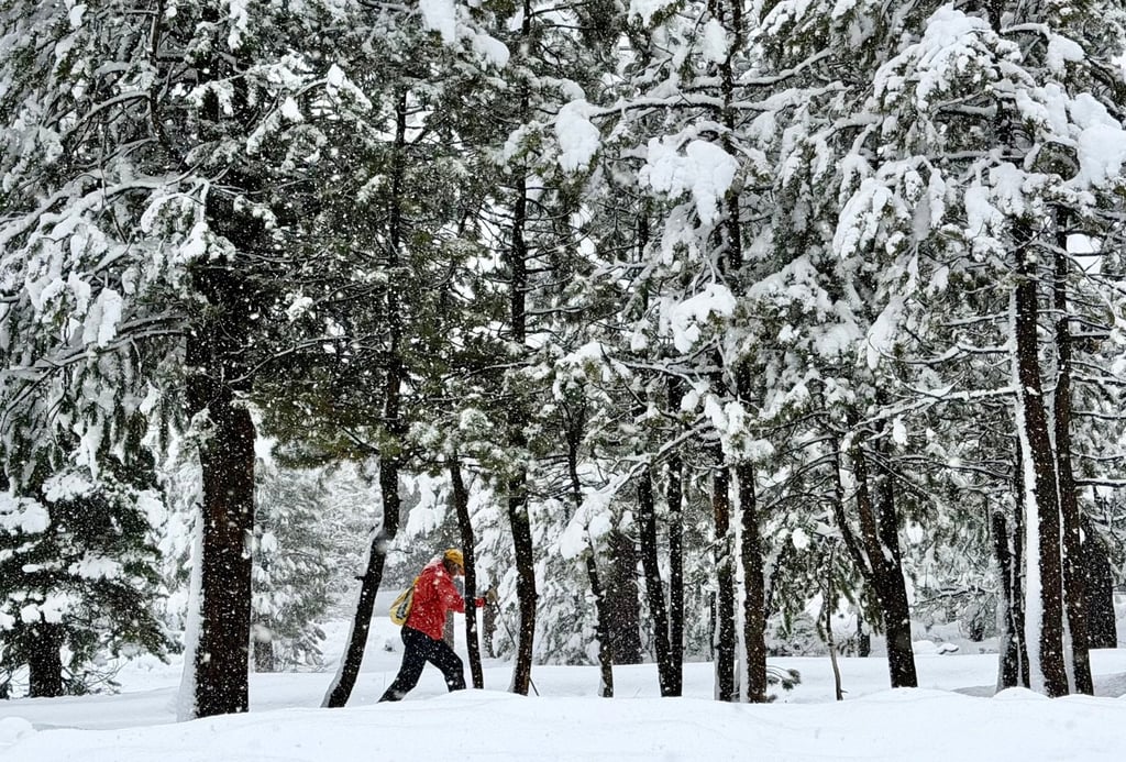 A person cross-country skis during a snowstorm in South Lake Tahoe, California, on January 4. Photo: TNS