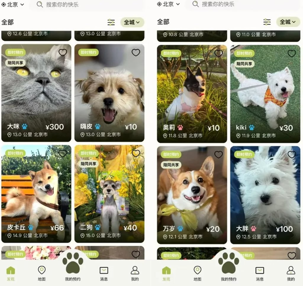 A new pet trend in China’s major cities allows people to rent dogs by the hour through an innovative online programme. Fees typically range from 10 to 60 yuan (US$1.5 to US$9) per hour, depending on the dog’s breed and the duration of the rental. Photo: Handout