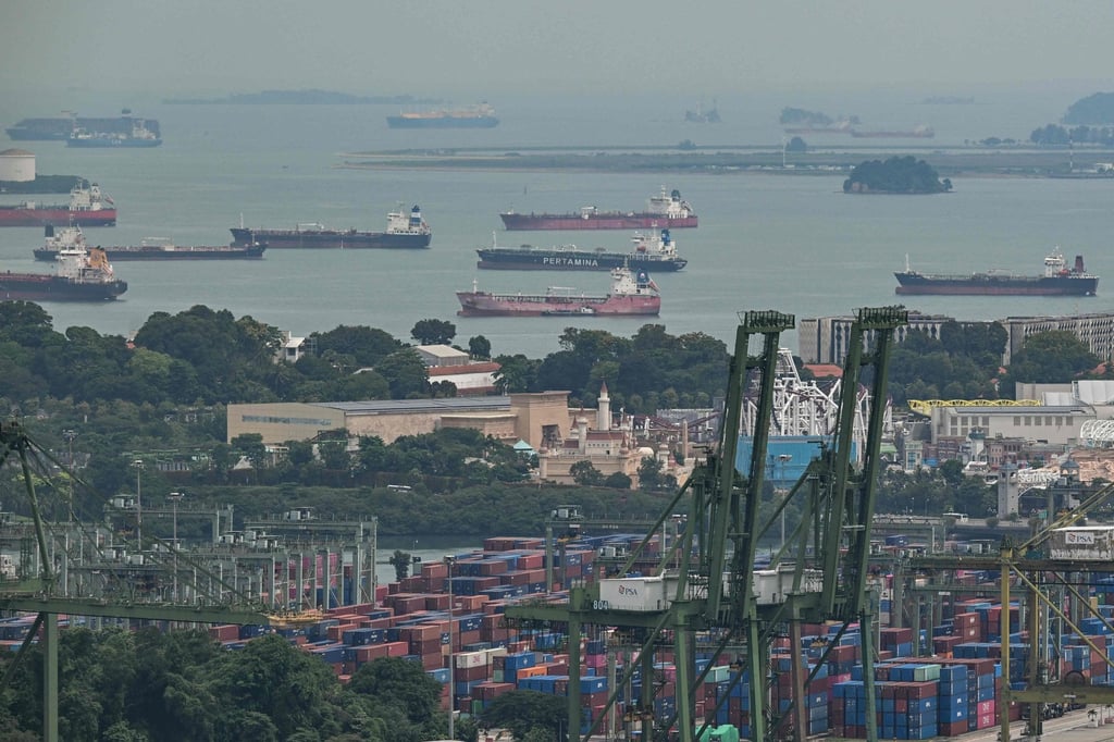 Cargo ships are seen in the Singapore Strait on June 1. Economic headwinds run especially strong in the trade-dependent, energy importing city state. Photo: AFP
