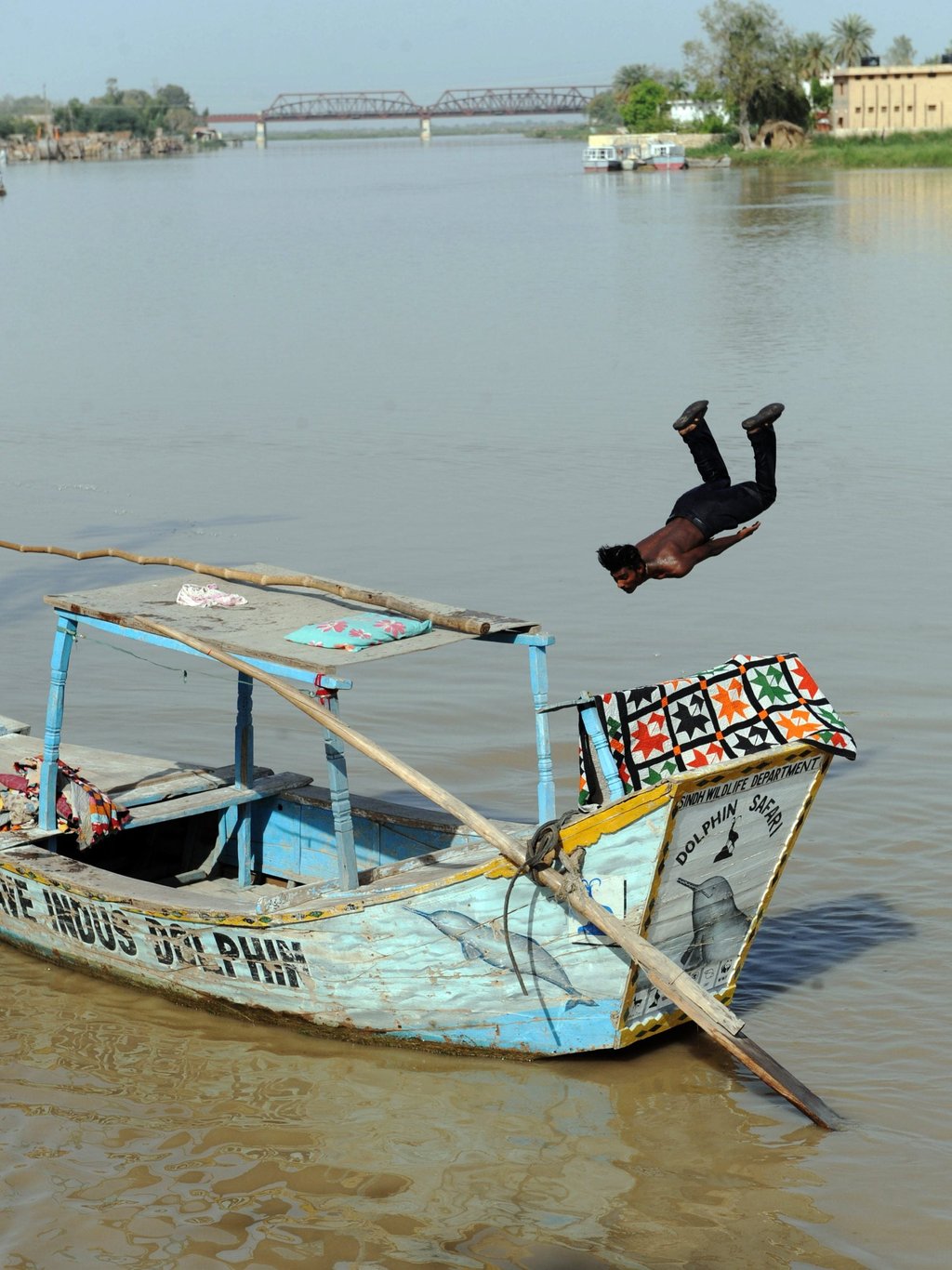 A Pakistani youth jumps into the Indus River along the southern city of Sukkur. Photo: AFP