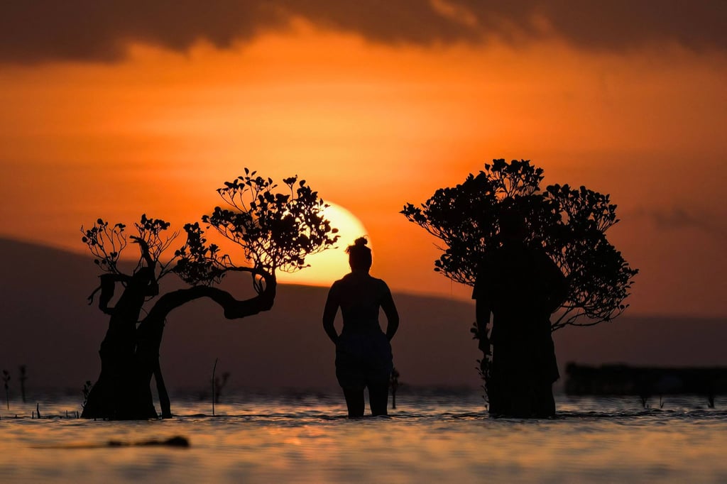 A person stands among mangrove trees at sunset in East Sumba, Indonesia’s East Nusa Tenggara province, last month. Photo: AFP