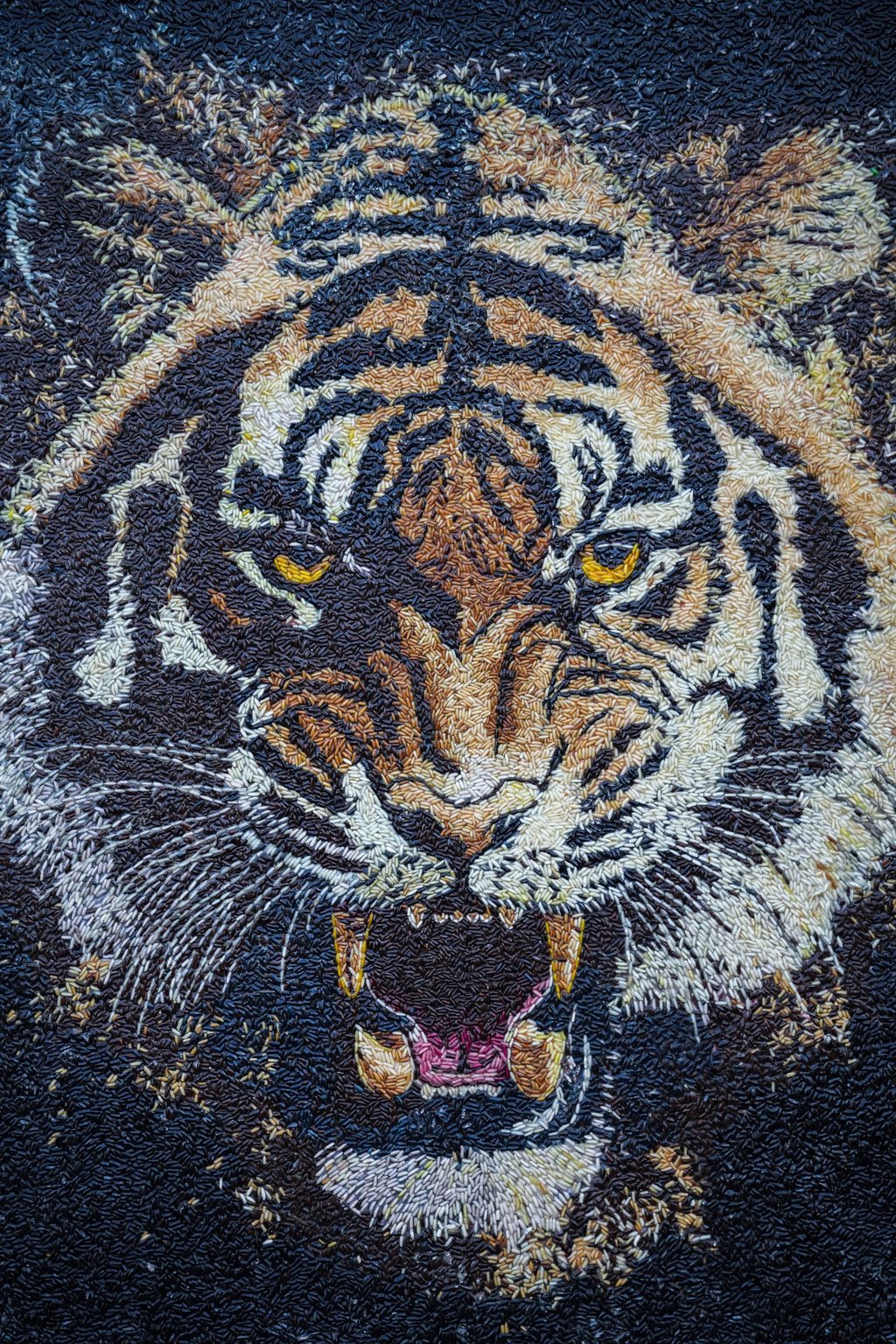 A tiger’s head made out of rice by Tom Kim Eng, a Cambodian artist also known as Aisha, who creates art from rice grains. Photo: Reuters