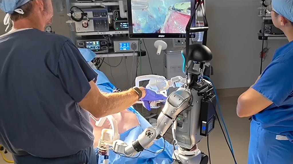 A human-robot team successfully performed a gallbladder removal. Photo: Handout