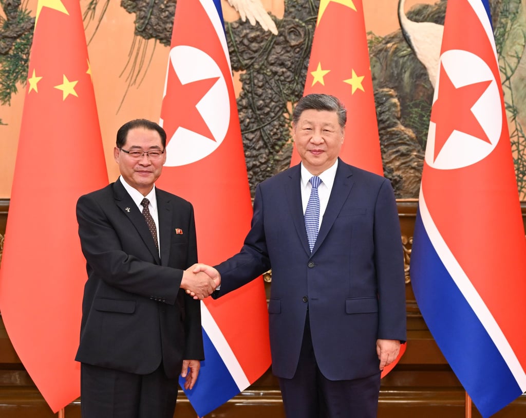 Chinese President Xi Jinping meets with North Korean Premier Pak Thae-song in Beijing on July 10. Photo: Xinhua