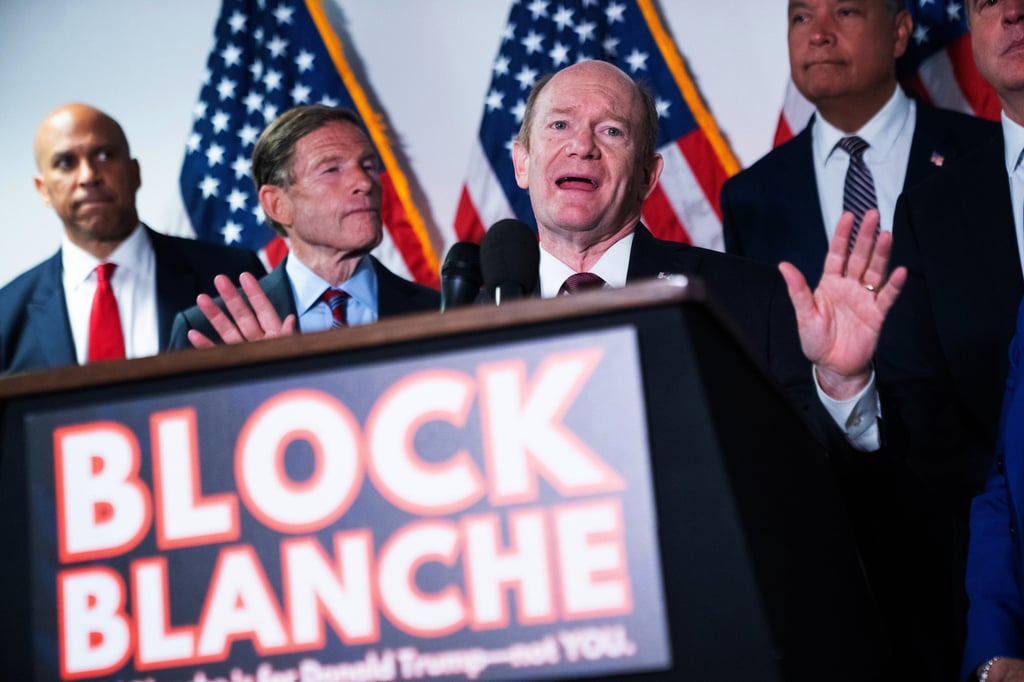 Democratic US Senator Chris Coons speaks after a Senate Judiciary Committee hearing with acting Attorney General Todd Blanche on Capitol Hill on Wednesday. Photo: AP