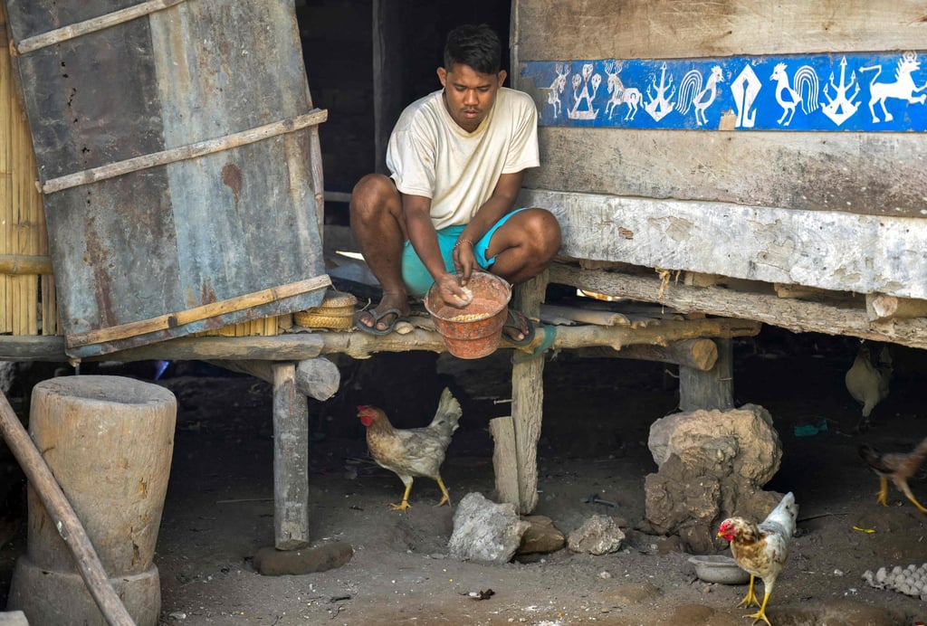 Umbu Ana Rara feeds his chickens as part of household chores that he shares with his “ata” at Tanggedu village in East Sumba. Photo: AFP