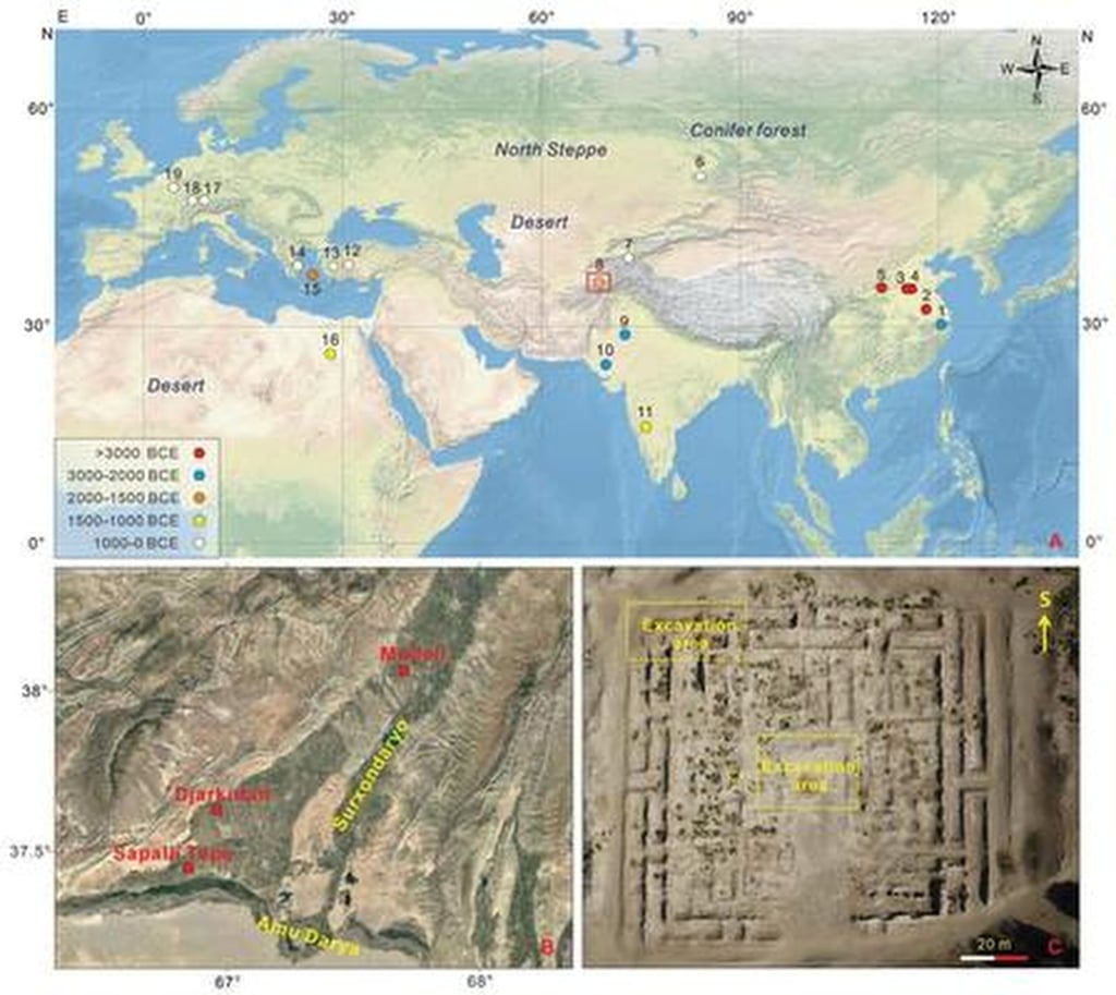 Traditional historical scholarship holds that sericulture and silk-reeling technology originated in China 8,500 to 5,000 years ago and spread outward along the Silk Road in the 2nd century BC. Photo: Handout