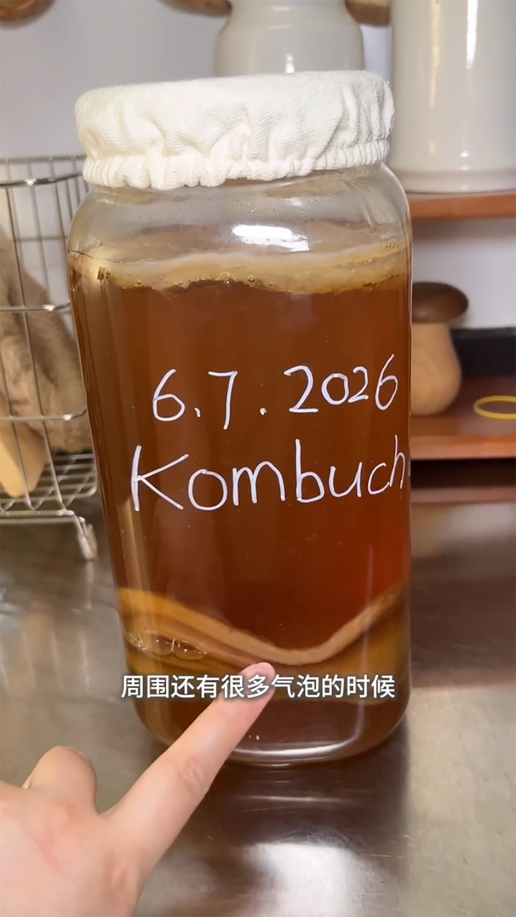 The obsession is real; #kombucha and #homemadekombucha have over 80 million combined views on social media. Photo: RedNote