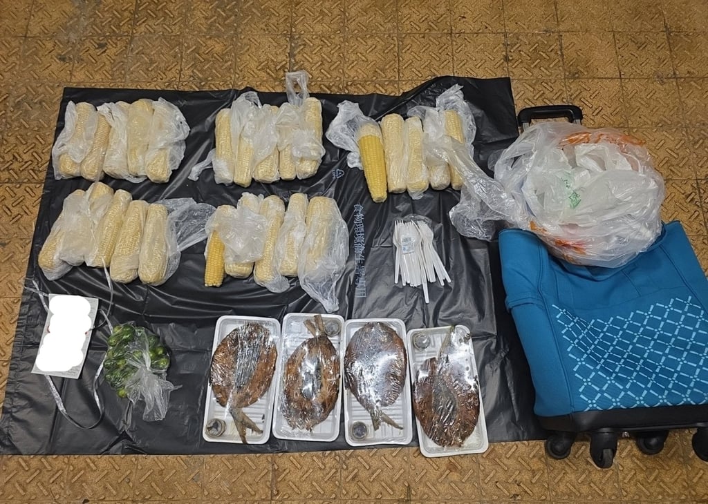 Food and hawking equipment seized during the operation. Photo: SCMP