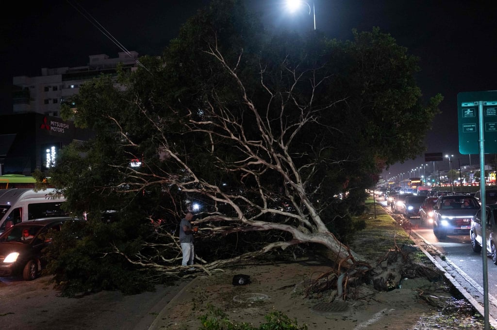 A tree lies on the median of Avenida das Americas after strong gusts in Rio de Janeiro, Brazil, on Wednesday. Photo: AFP