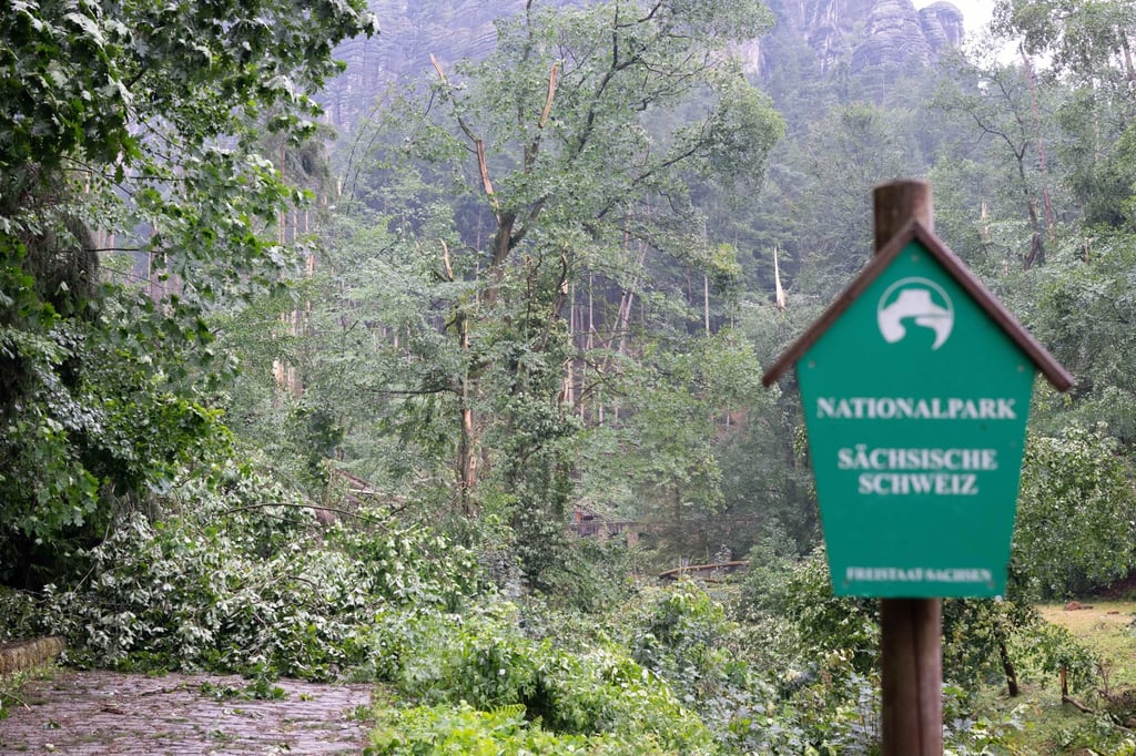 Storm damage in Amselgrund in the Saxon Switzerland National Park. Photo: dpa