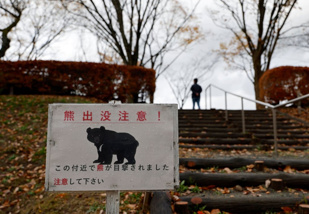 A bear warning sign seen last November at Senshu Park, where bear sightings had led to restricted access in Akita, northeastern Japan. Photo: EPA
