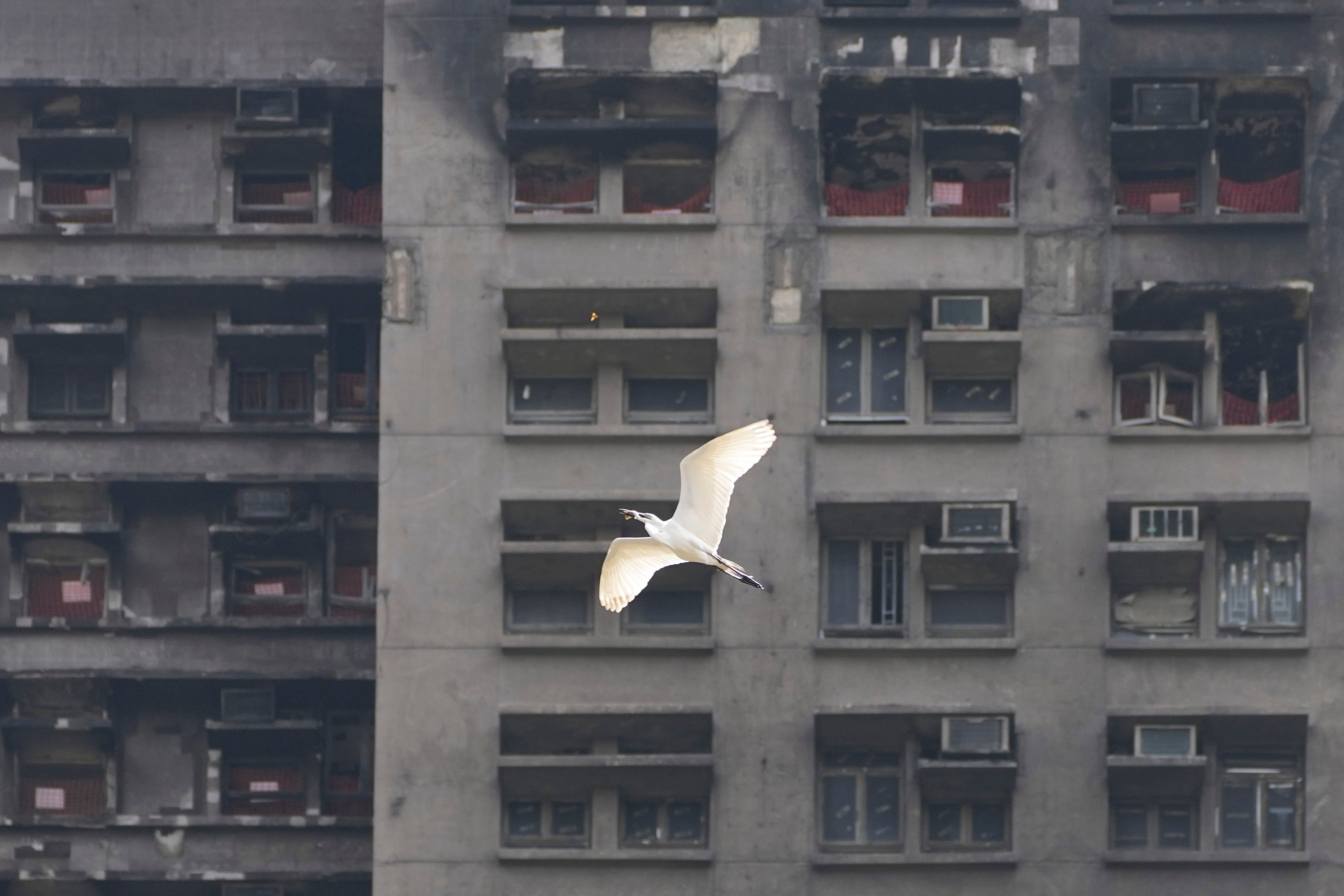 The Wang Fuk Court fire killed 168 people. Photo: Karma Lo