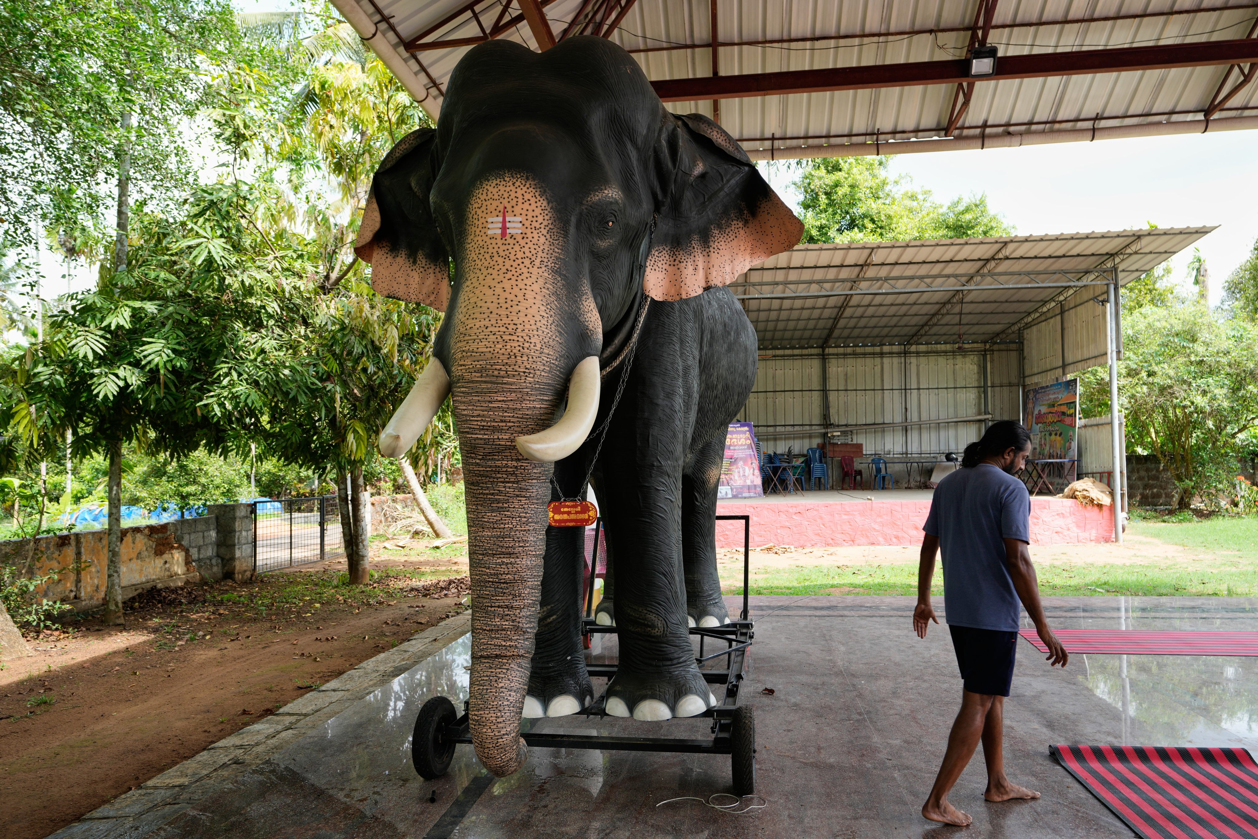 Prasanth Prakashan, a mechanical engineer, walks past a robotic elephant manufactured by him that stands inside the compound of Cheekamundi Sri Mahavishnu Temple in Thrissur, in Kerala, India, in May. Photo: AP