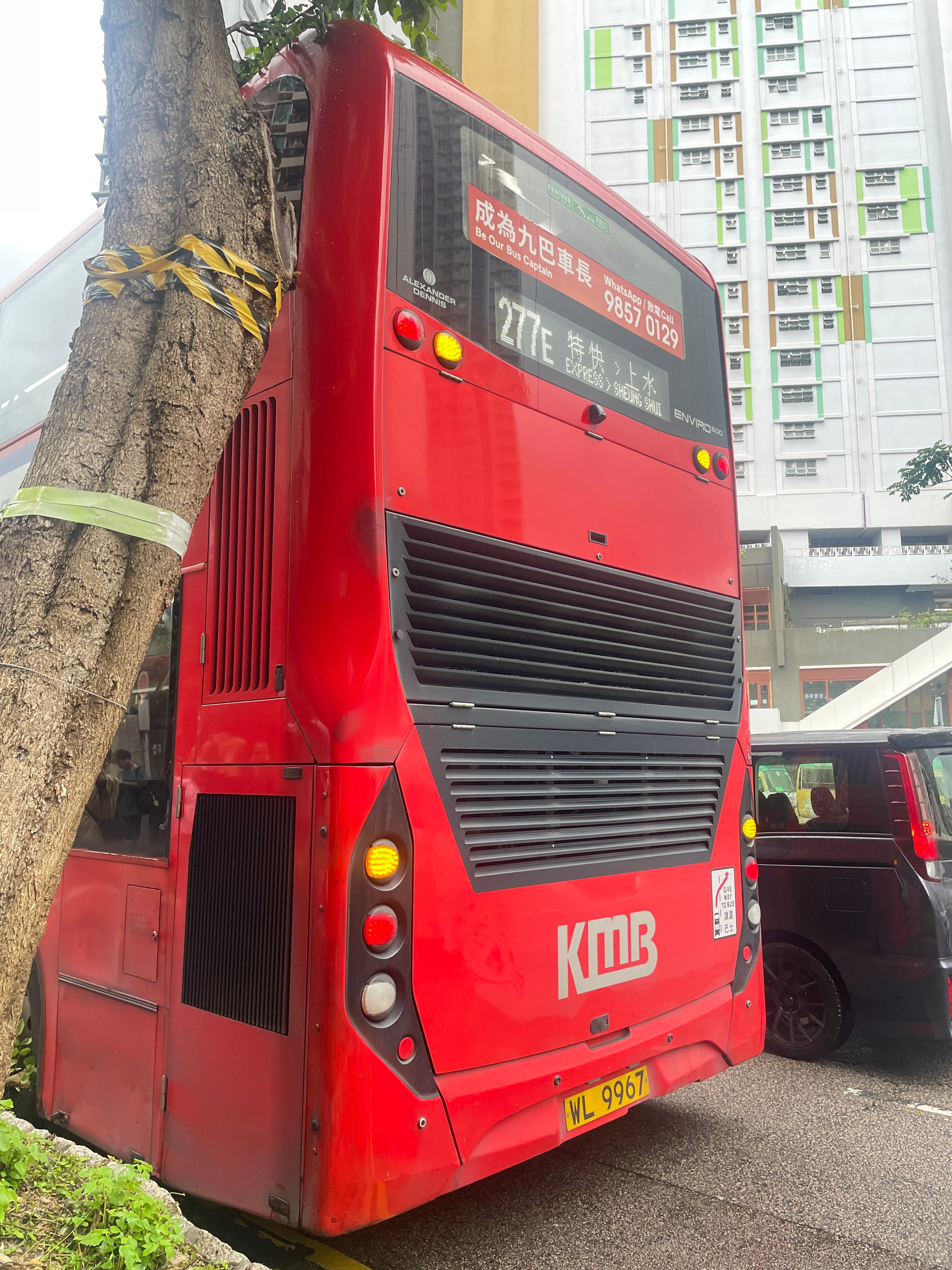 A tree branch struck the upper deck of a double-decker. Photo: Handout