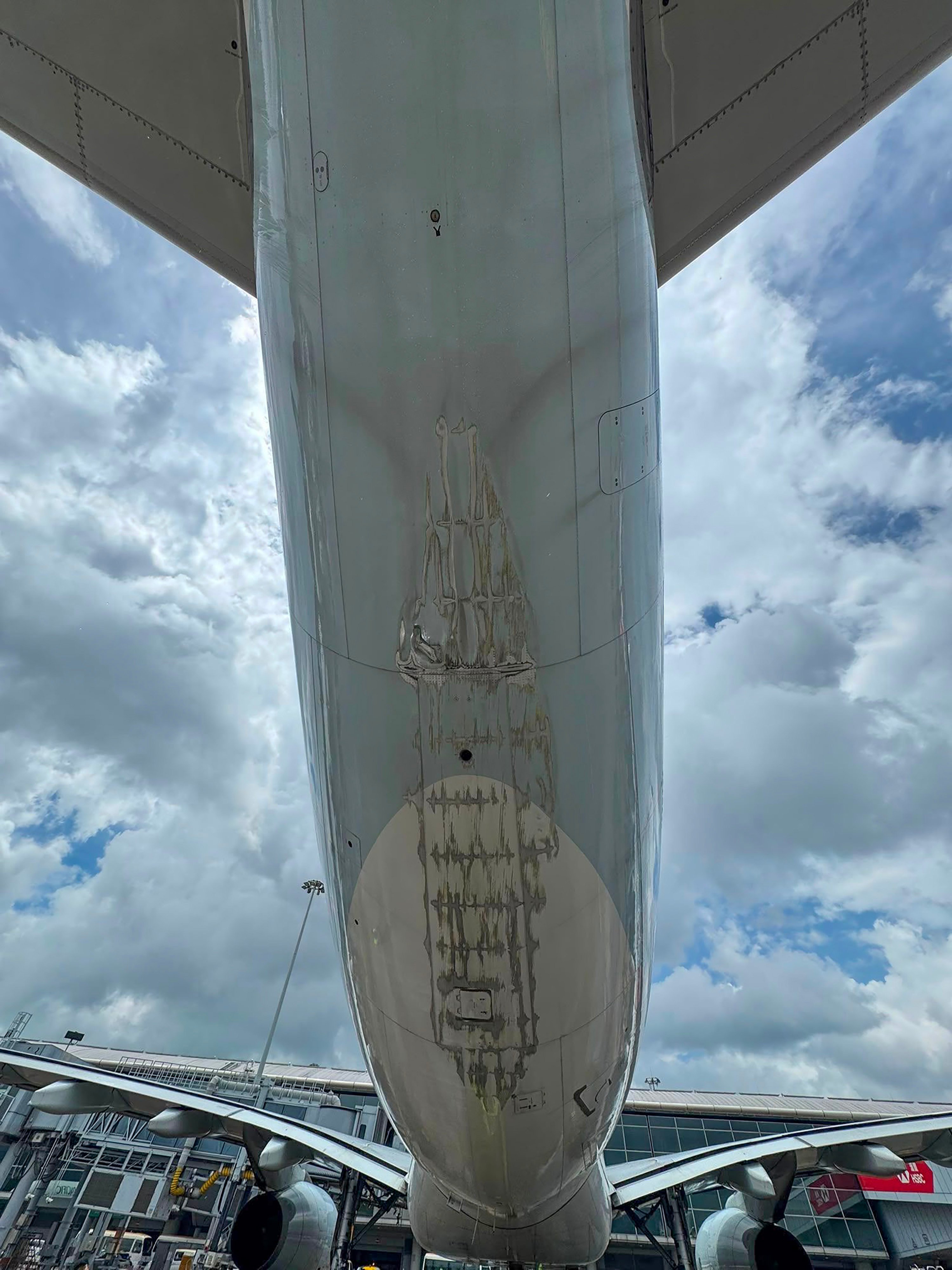 An aviation expert says the visible damage to the aircraft appears significant. Photo: Handout
