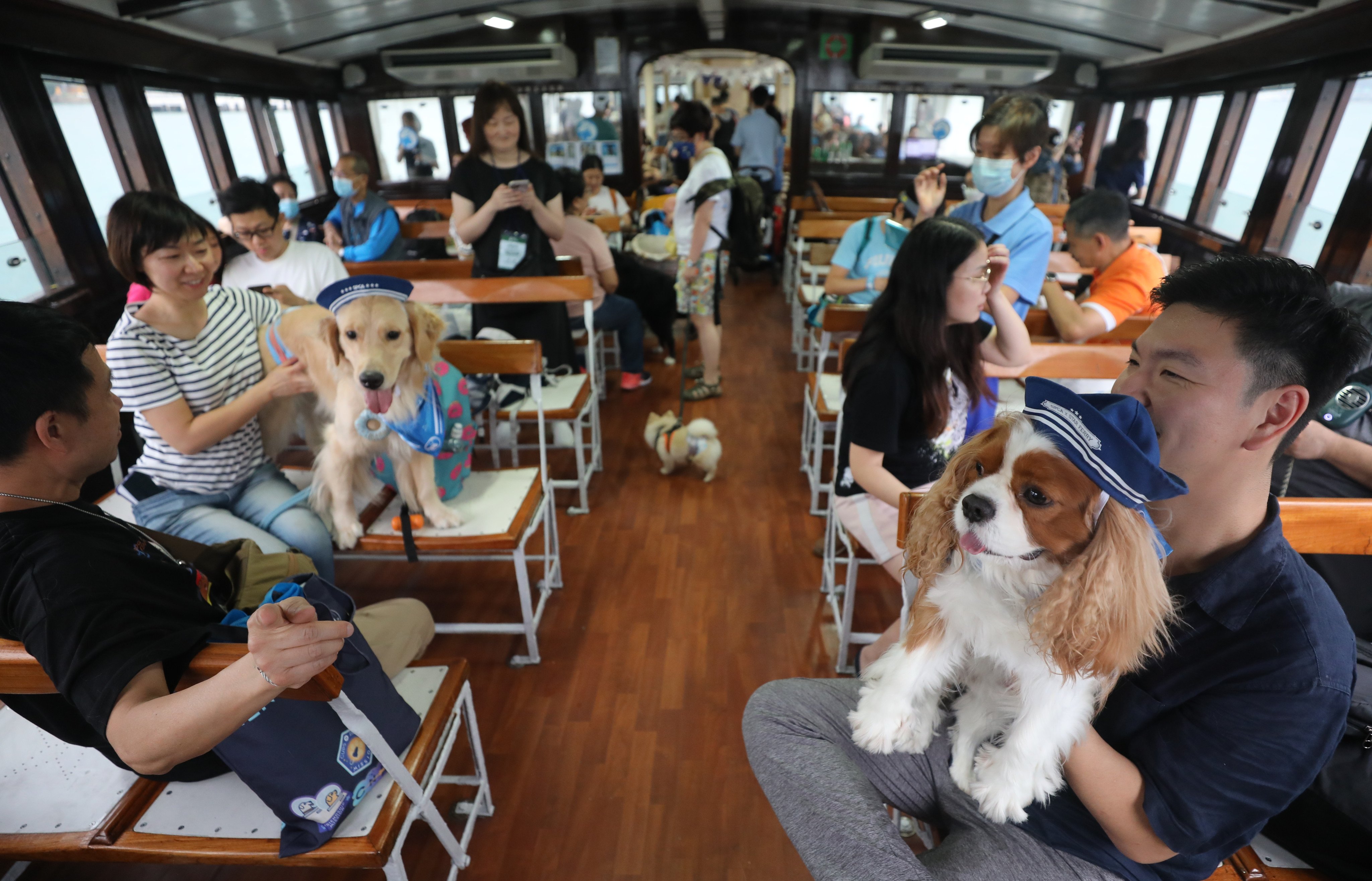 A total of 249 people and 142 dogs go on a 45-minute ride across Victoria Harbour organised by the Society for the Prevention of Cruelty to Animals (Hong Kong) and Star Ferry in April 2023. Photo: Xiaomei Chen