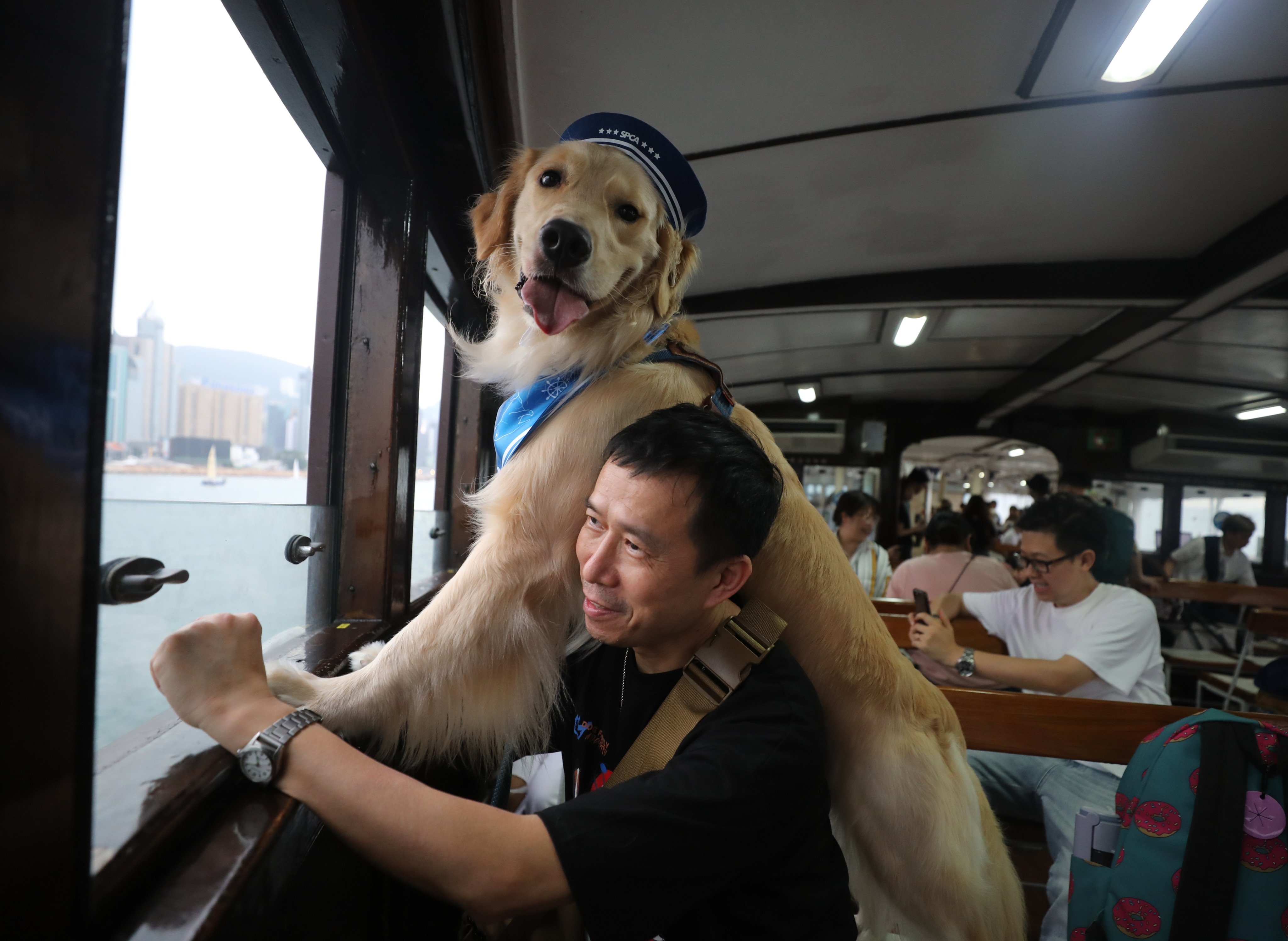 A total of 249 people and 142 dogs cross Victoria Harbour in April 2023 on a trip organised by the Society for the Prevention of Cruelty to Animals (Hong Kong) and Star Ferry. Photo: Xiaomei Chen