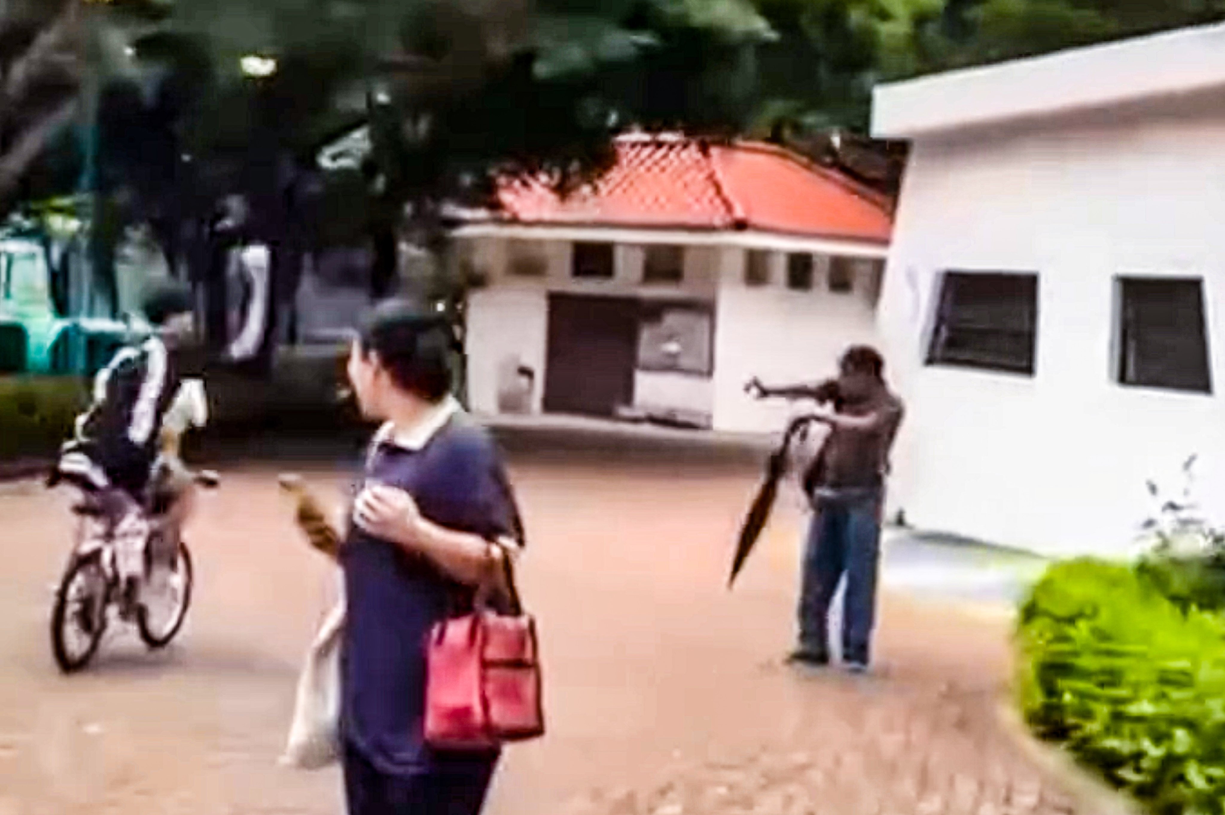 The incidents occurred along the waterfront and in a public park in Tsuen Wan. Photo: Handout