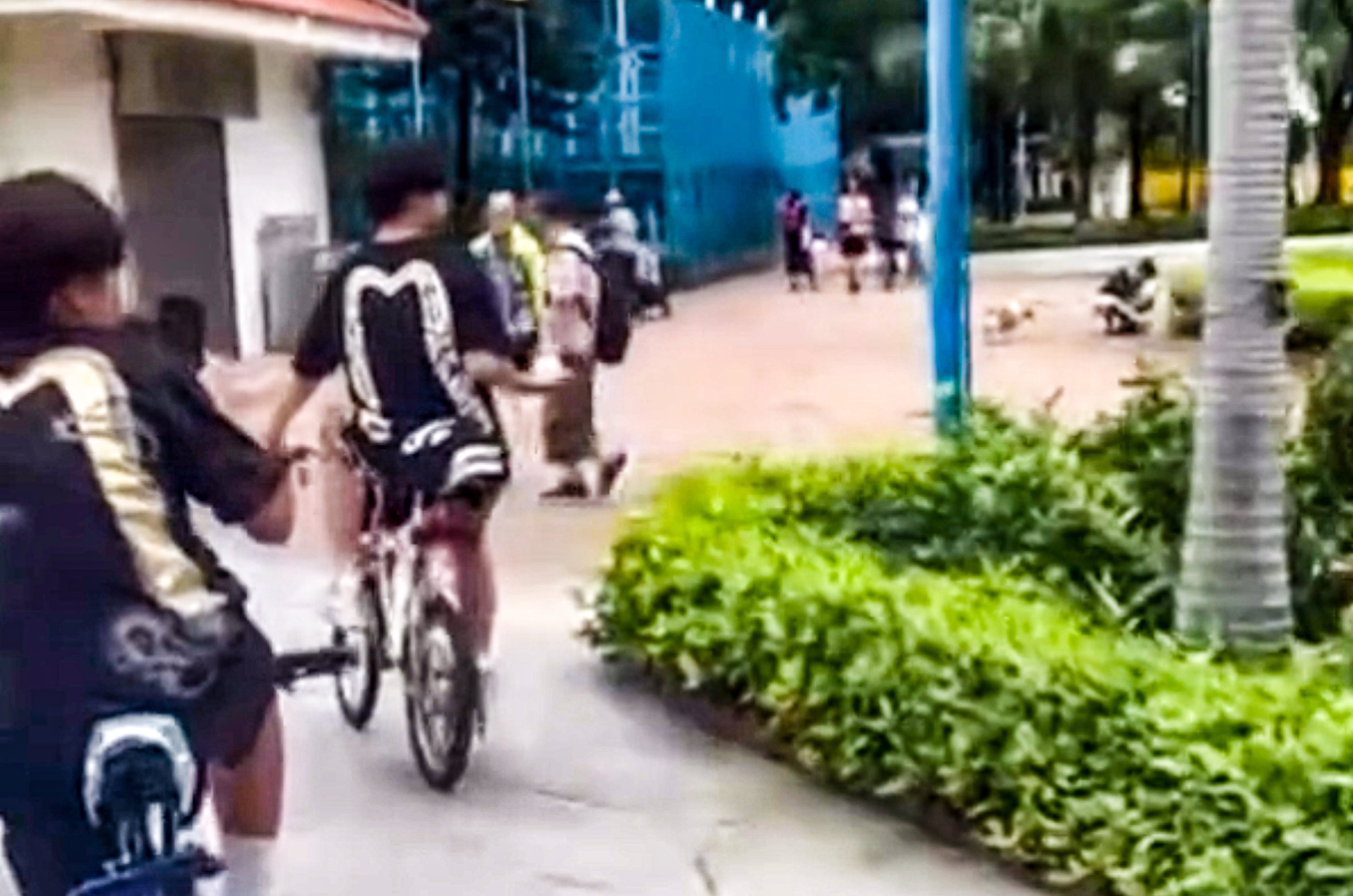 The incidents occurred along the waterfront and in a public park in Tsuen Wan. Photo: Handout