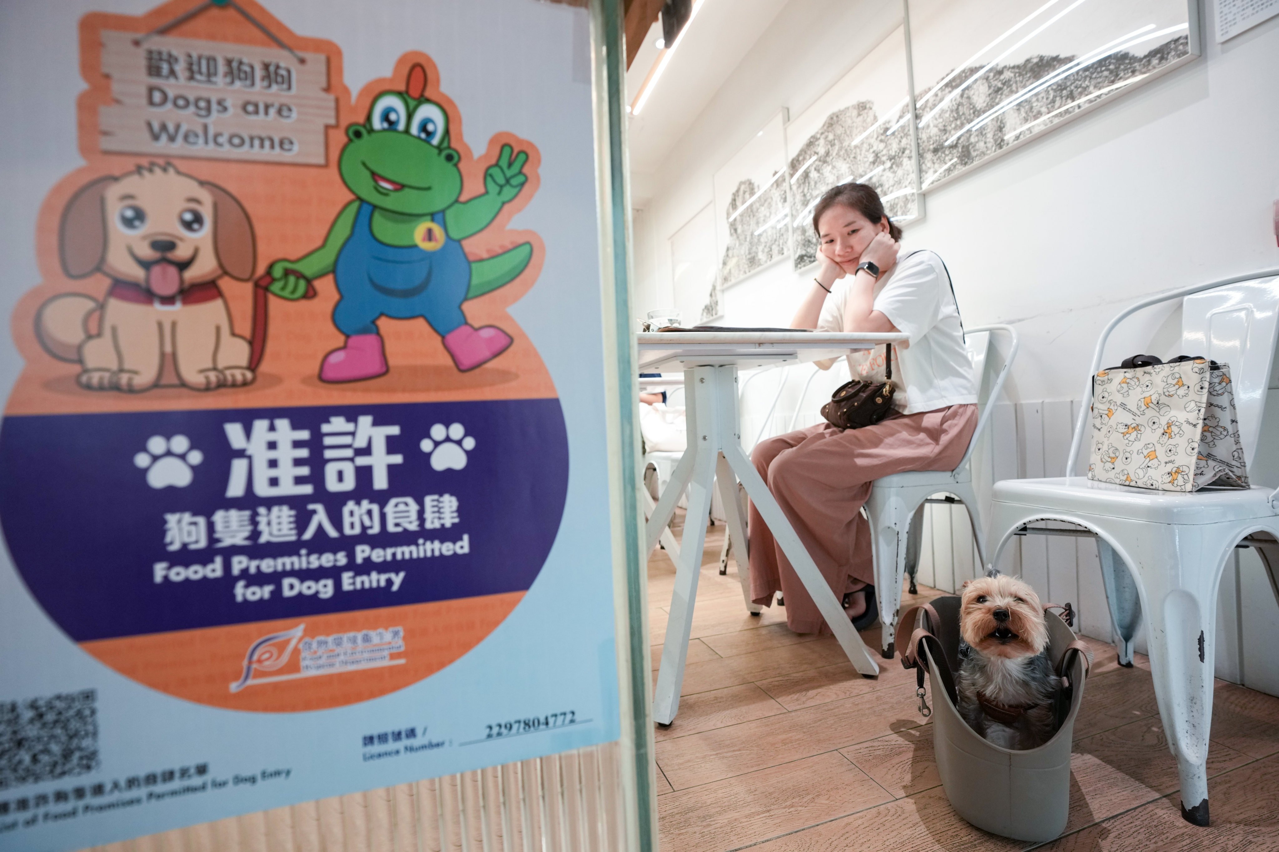 Approved venues have been allowed to admit dogs since July 9. Photo: Sam Tsang