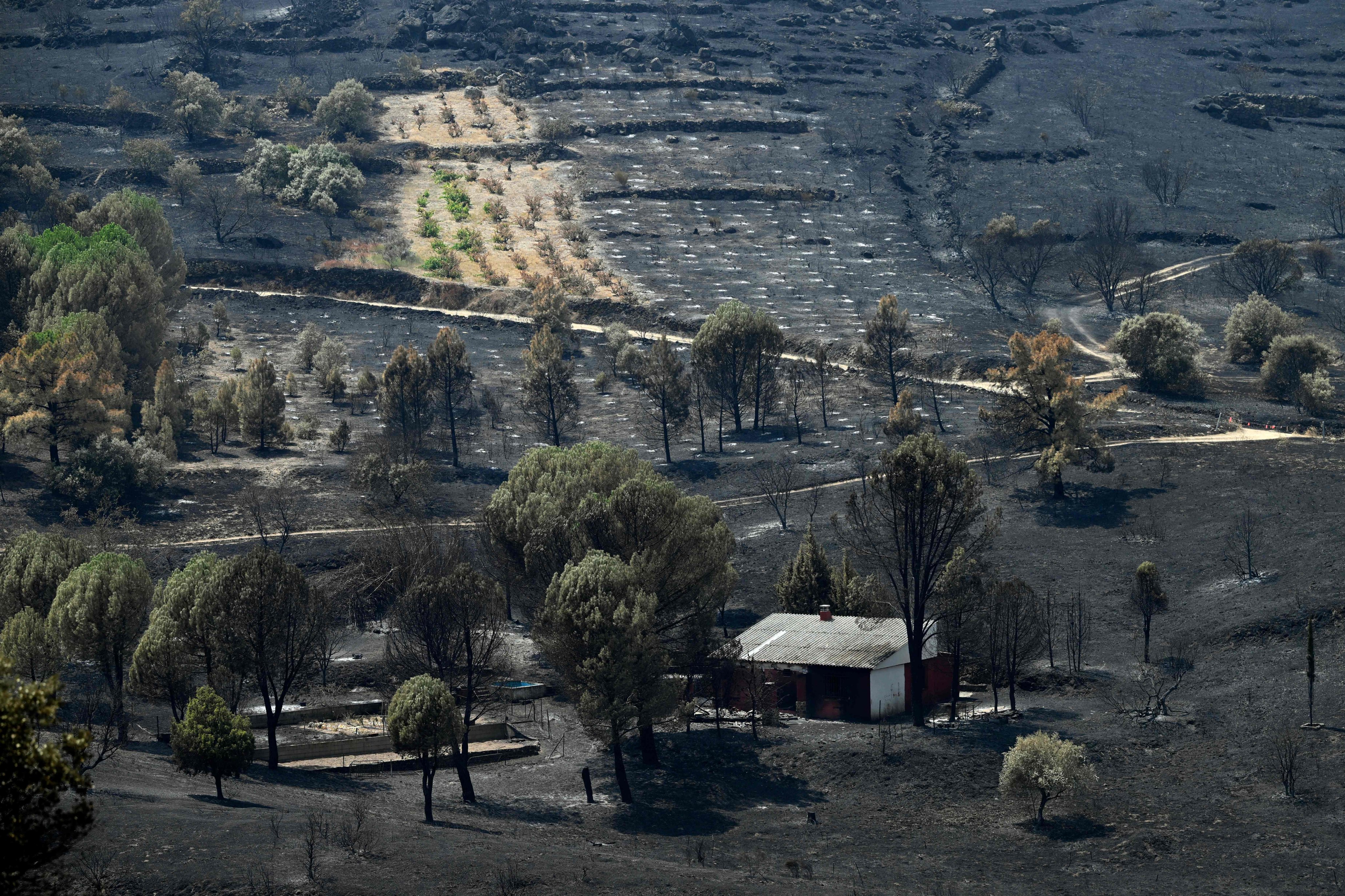 A view of scorched fields following a wildfire in El Tiemblo, 80km west of Madrid, on Tuesday. Photo: AFP
