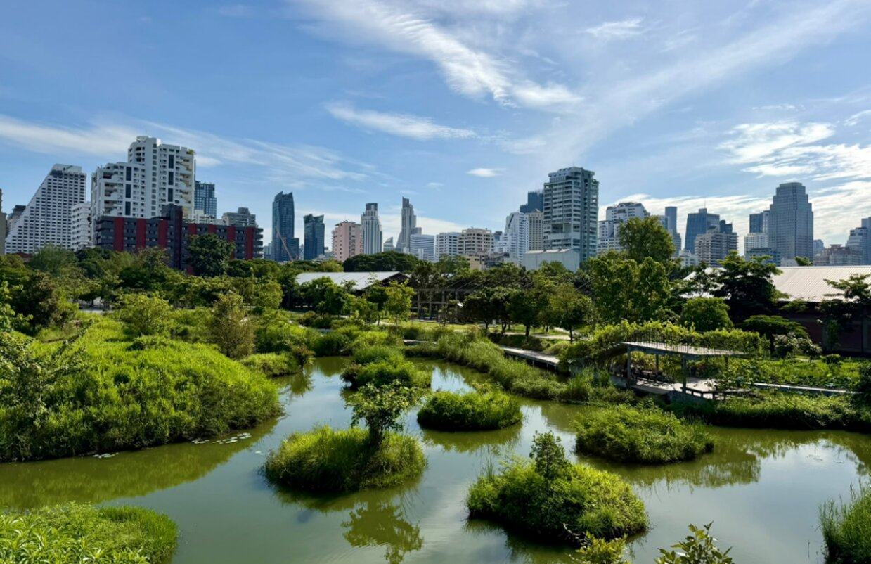 The Benjakitti Forest Park’s woodlands and wetlands serve as sponges to mitigate flooding. Photo: Donald Low