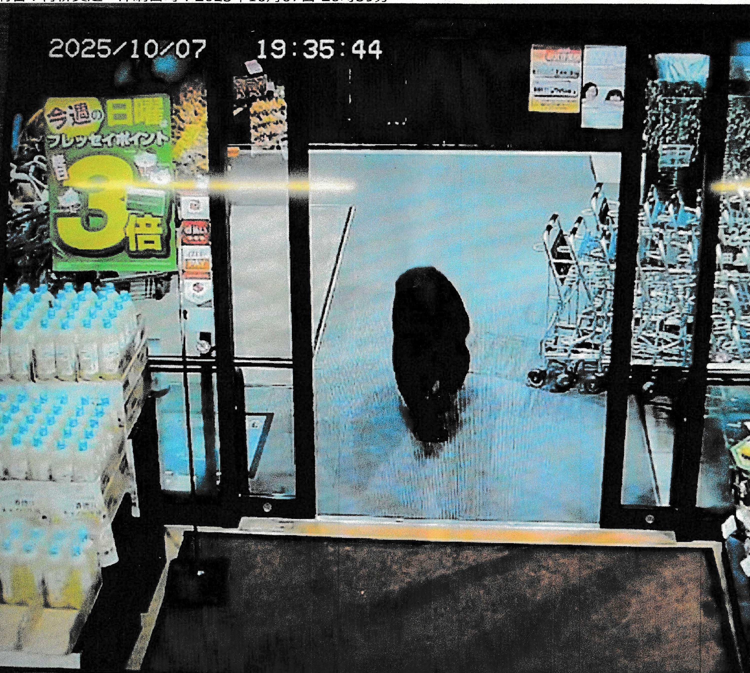 CCTV camera footage of a bear walking inside a supermarket in Numata, Gunma prefecture. Photo: AFP/Gunma prefectural police/Jiji Press