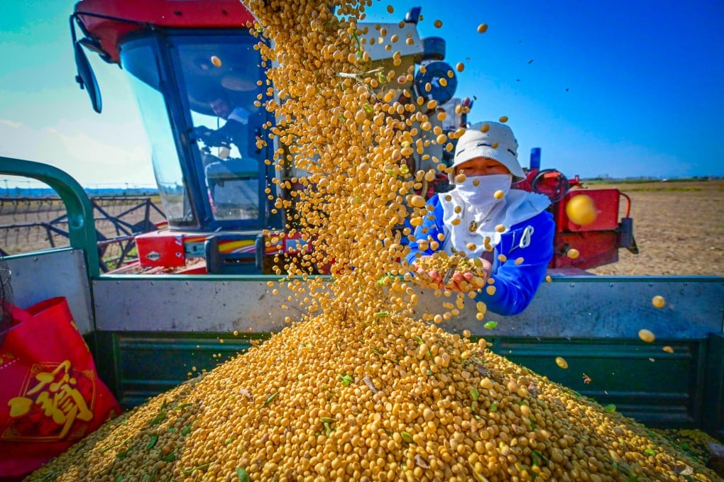 A farmer checks newly harvested soybeans in Xiagu village in central Henan province on October 14, 2023. Photo: Xinhua