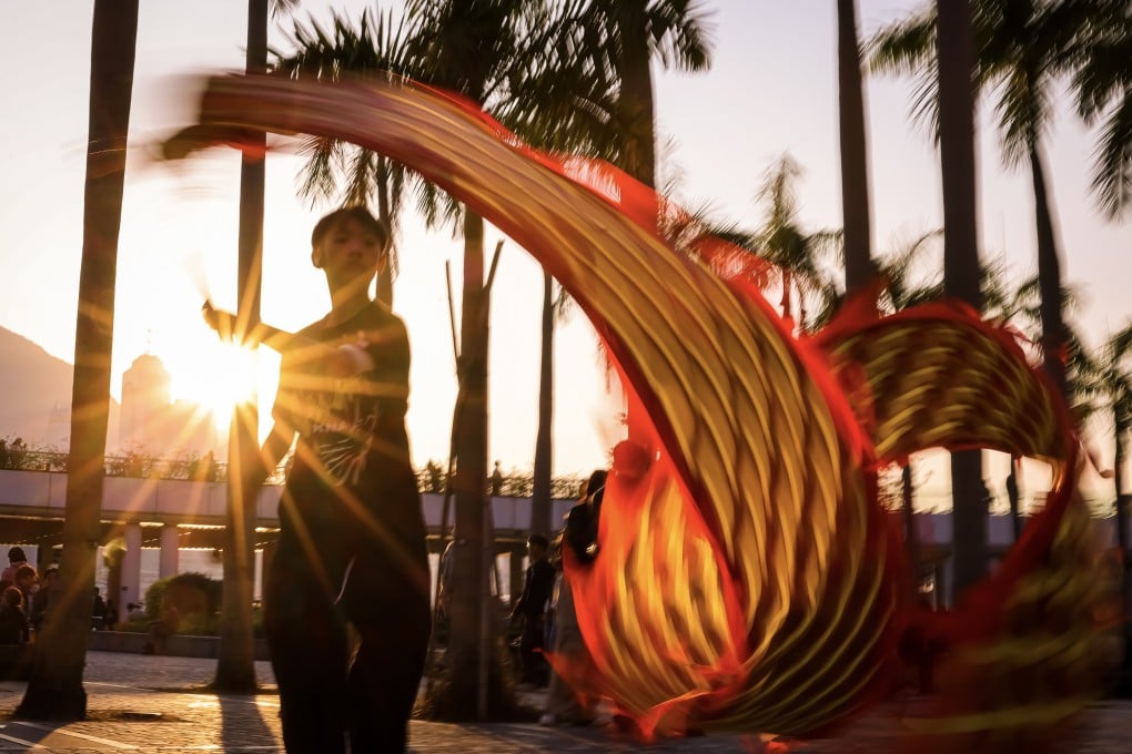 A teenager wields a fabric dragon outside the Hong Kong Cultural Centre in Tsim Sha Tsui on January 4. Photo: Nora Tam